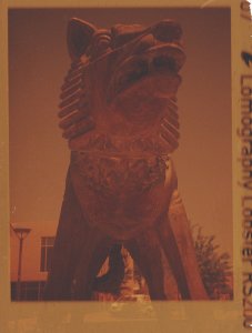 20240702LomoLobsterLomo110-12.jpg